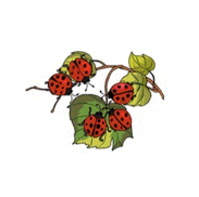 hero image of people